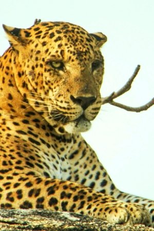 7. epizoda