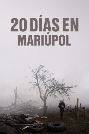 Imagen de 20 días en Mariúpol
