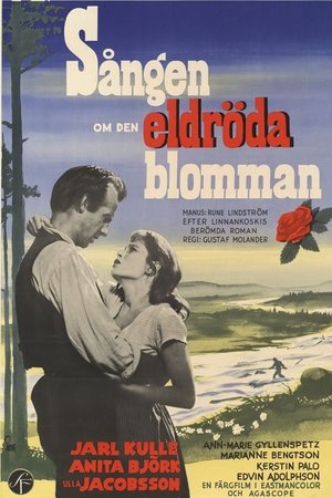 Sången om den eldröda blomman