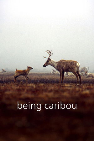 Being Caribou