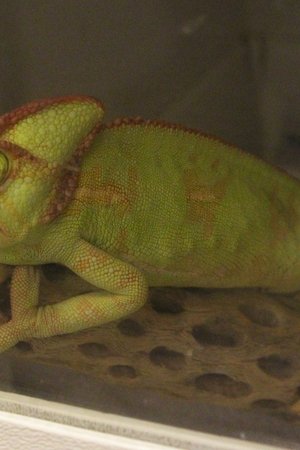 3. epizoda