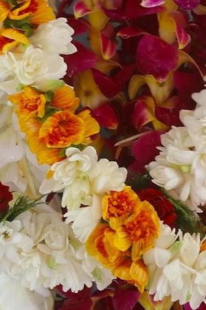 My Chinatown, With Aloha