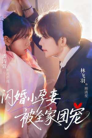 闪婚小孕妻被全家团宠