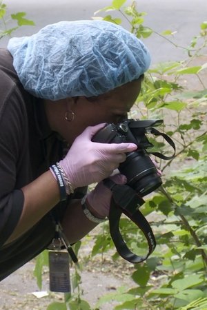 epizoda