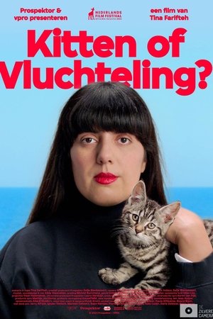 Kitten of vluchteling?