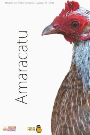 Amaracatu
