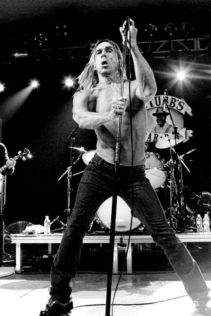 Iggy & the Stooges: Live in Detroit