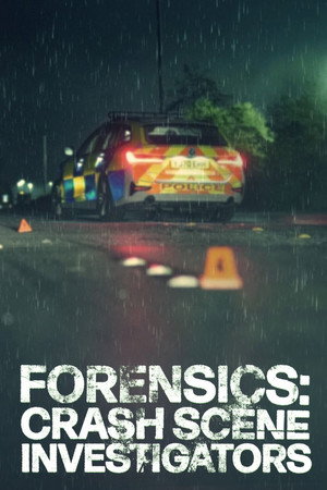 Forensics: Crash Scene Investigators