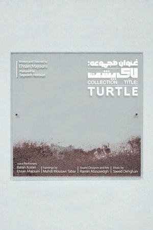 Collection Title: Turtle