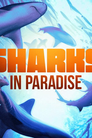 Sharks in Paradise
