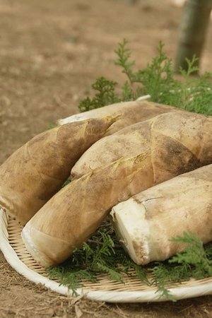 10. epizoda