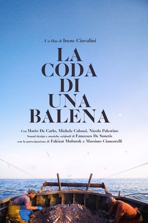 La coda di una Balena
