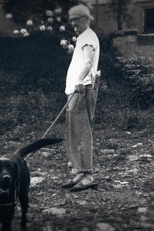 Hlava 44