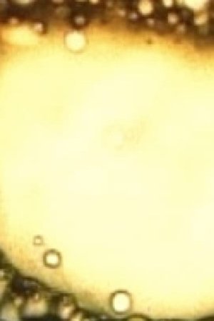 Rite of the Black Sun