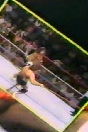 October 8, 1988 - Superstars of Wrestling 110