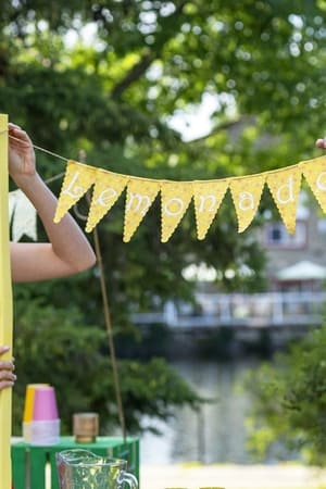 Lemonade Stand Romance