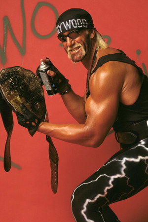 Hollywood Hogan