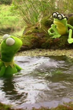 Kermit's Swamp Years