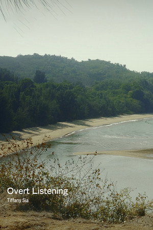 Overt Listening