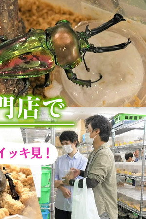 See You in Osaka's Korea Town
