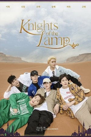 램프의 기사
