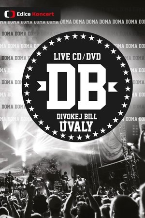 Divokej Bill: Koncert doma