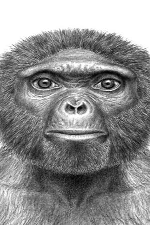 epizoda