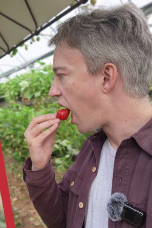 Why Robots Can’t Pick Strawberries Yet