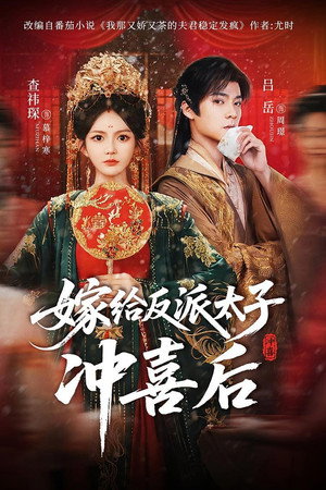 嫁给反派太子冲喜后