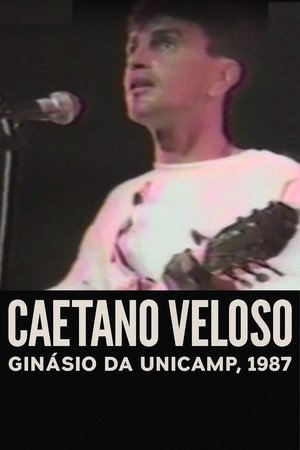 Caetano Veloso - Ao Vivo no Ginásio da Unicamp, 1987