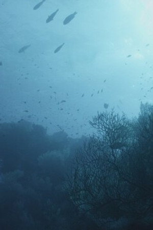 Underwater Alien Bases