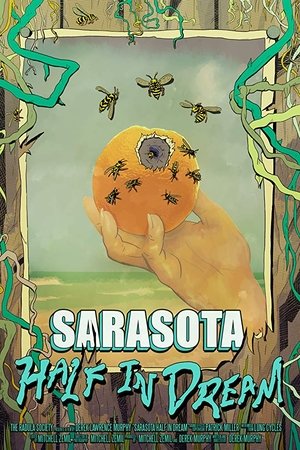 Sarasota Half in Dream