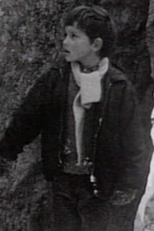 Štědrý den