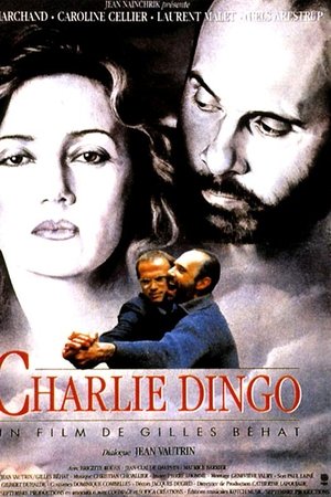 Charlie Dingo