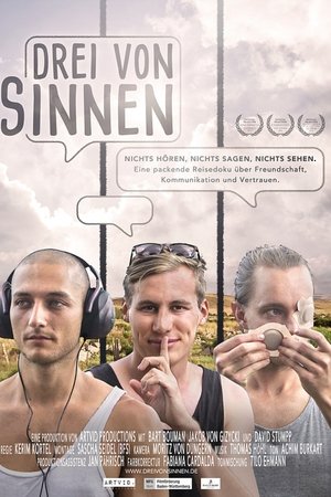 Drei von Sinnen