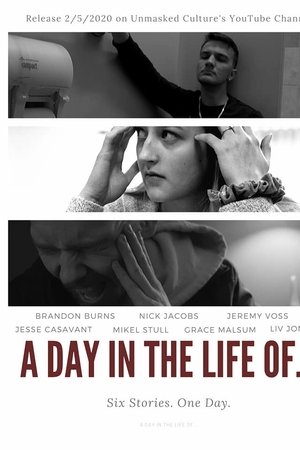 A Day in the Life of...