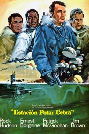 Estación polar Zebra