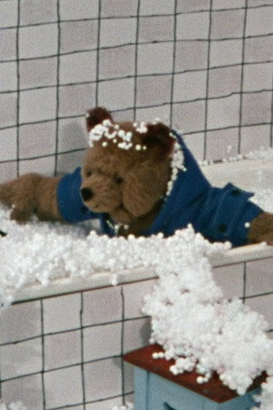 A Bear in Hot Water