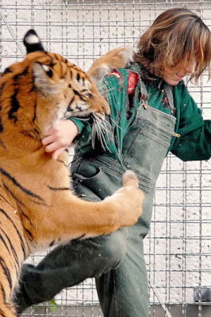 S tygrem nejsou žerty