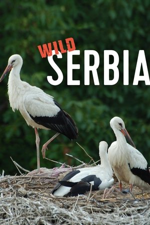 Wild Serbia
