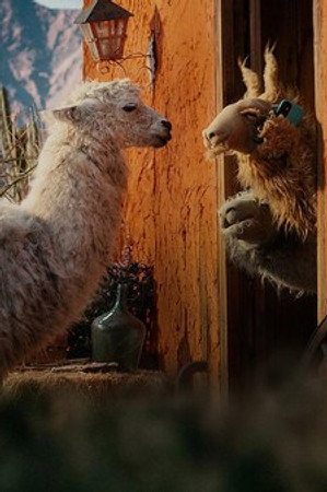 Llama vs Llama