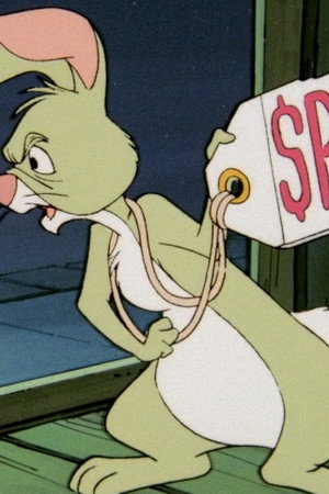 How Much Is That Rabbit in the Window?