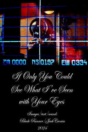 If Only You Could See What I’ve Seen With Your Eyes