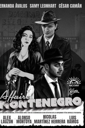 The Montenegro Affair