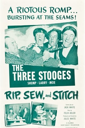 Rip, Sew and Stitch