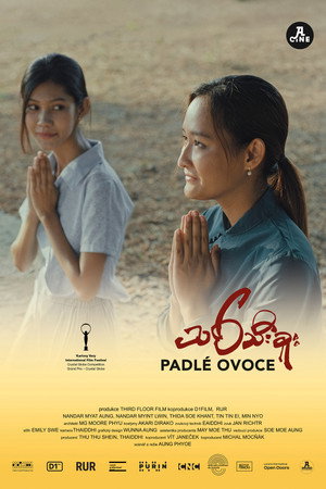 Padlé ovoce