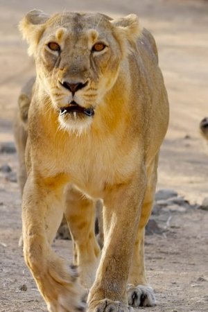 9. epizoda