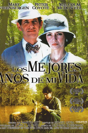 Los mejores años de mi vida