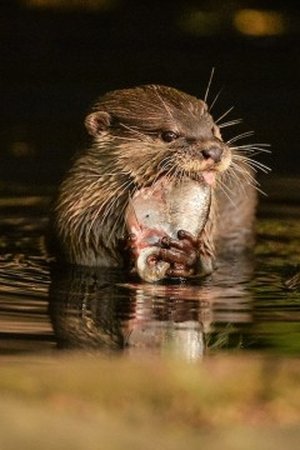 7. epizoda
