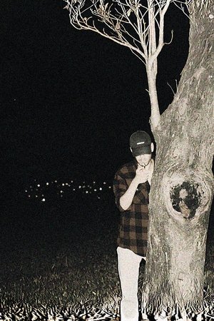 Predação Noturna